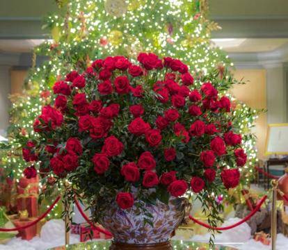 Photo of The Windsor Court